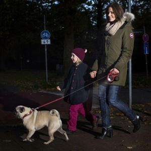 犬 散歩 ライト LEDライト USB充電式 ...の詳細画像2