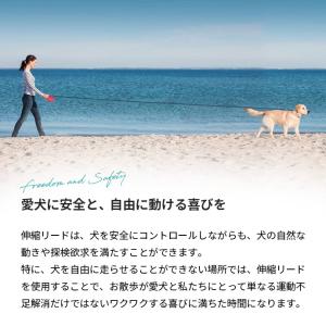 フレキシリード 伸縮リード 中型犬 クラシック...の詳細画像5