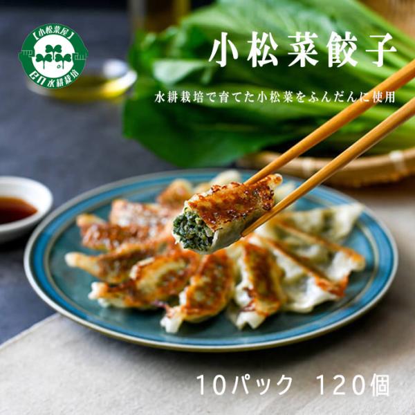 小松菜餃子　EN WATER FARMS　水耕栽培　鹿児島県産小松菜　ギョーザ　国産　鶏肉　にんにく...