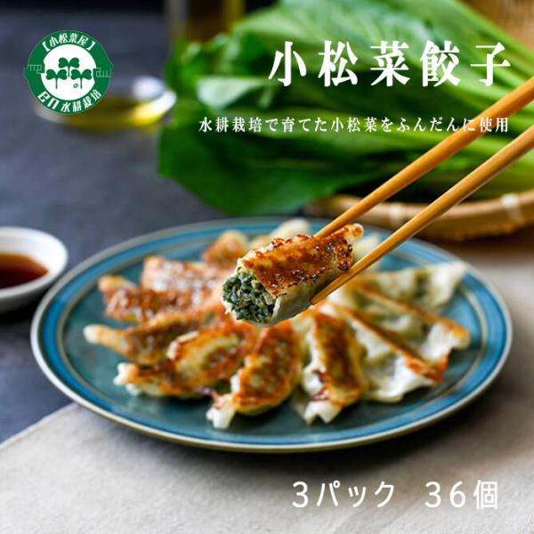 小松菜餃子　EN WATER FARMS　水耕栽培　鹿児島県産小松菜　ギョーザ　国産　鶏肉　にんにく...