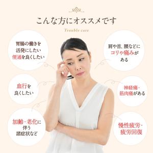 琉球温熱療法の温熱器治療器 ラジウム鉱石・ラド...の詳細画像5