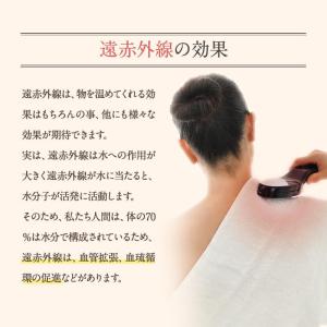 温熱器 琉球温熱治療器(OCN型)ミネラル鉱石...の詳細画像5