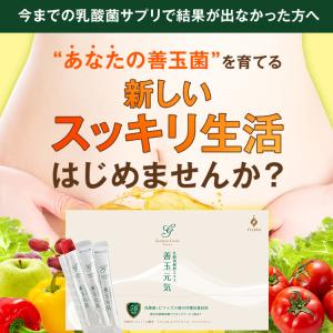 善玉元気 約3ヶ月分 乳酸菌発酵エキス 短鎖脂...の詳細画像2