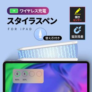 SAVVIES iPad タッチペン a16 11 13 インチ iPad Air スタイラスペン