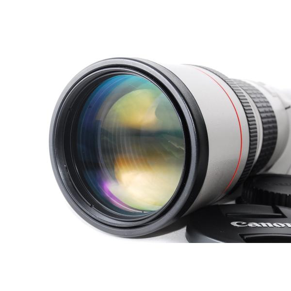 Canon キャノン EF 300mm F4L USM 高級単焦点レンズ カメラ