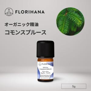 エッセンシャルオイル 収納ボックス 25本用 竹製 アロマオイル収納