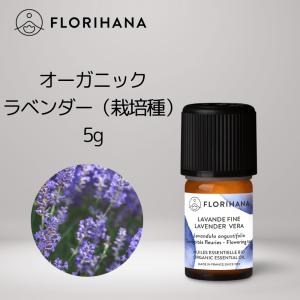 【 フロリハナ 公式 】 オーガニック ラベンダーベラ（栽培種） 真正ラベンダーオイル 5g(5.68ml) エッセンシャルオイル 精油 アロマオイル｜florihana