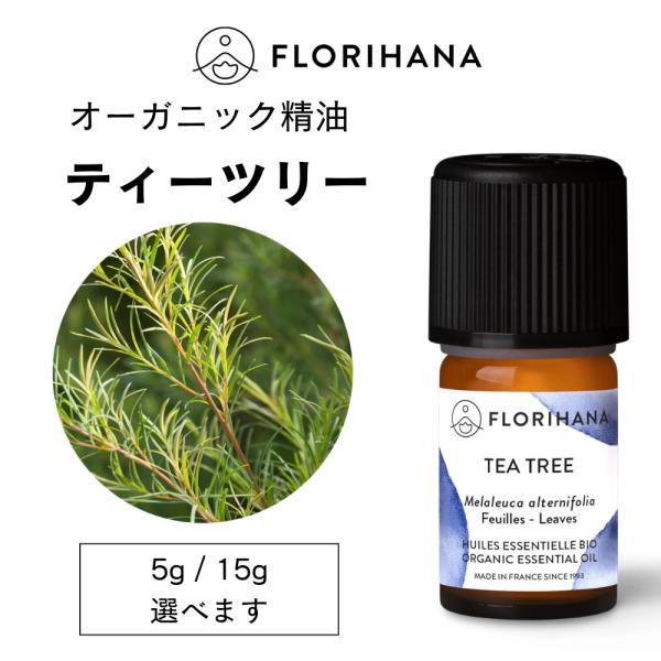 フロリハナ ティーツリー 精油 オーガニック 15g ティートゥリー エッセンシャルオイル アロマ ...