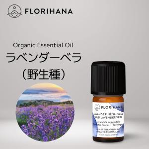 ドテラ ジャスミン 2.5mL ＜数量限定＞ doTERRA Jasminum grandiflorum