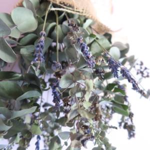 Lavender and eucalyptus...の詳細画像3