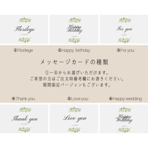 Lavender and eucalyptus...の詳細画像4