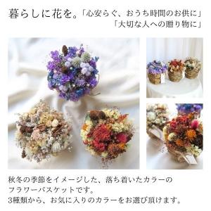 3種類から選べる◎秋のドライフラワー ミニかご...の詳細画像1