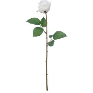 アバランチェ バラの商品一覧 通販 Yahoo ショッピング