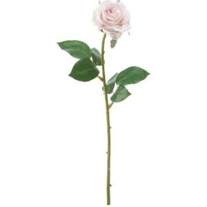 アバランチェ バラの商品一覧 通販 Yahoo ショッピング