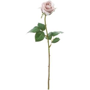 アバランチェ バラの商品一覧 通販 Yahoo ショッピング