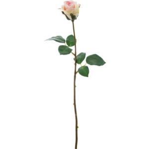 アバランチェ バラの商品一覧 通販 Yahoo ショッピング