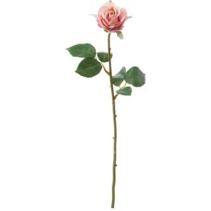 アバランチェ バラの商品一覧 通販 Yahoo ショッピング