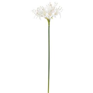 花ダイヤモンドリリー 花束 アレンジメント の商品一覧 造花 アートフラワー 花 ガーデニング 通販 Yahoo ショッピング