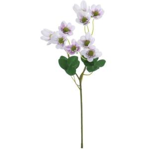 ミスミソウ 花の商品一覧 通販 Yahoo ショッピング