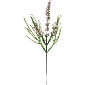 ベロニカ 花 ピンク 花 ガーデニング の商品一覧 通販 Yahoo ショッピング