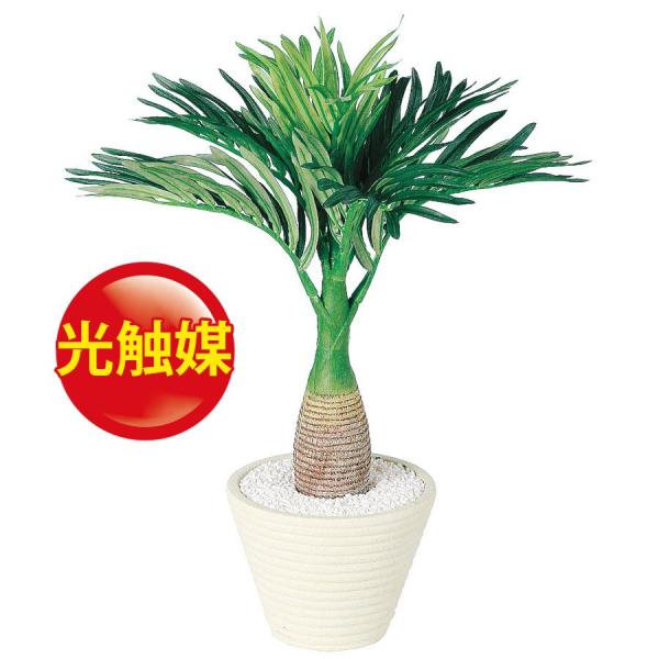 人工観葉植物  光触媒 トックリヤシ B  (器:PラウンドS(WH)) 98830｜フェイクグリー...