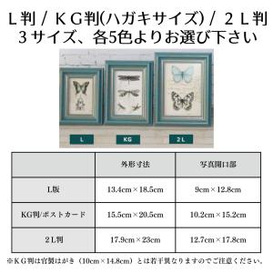 写真立て 2L判 フォトフレーム 集合写真サイ...の詳細画像1