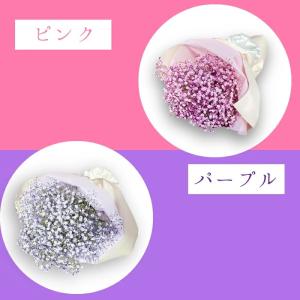 トルコキキョウ アレンジメント かすみ草 カス...の詳細画像5