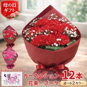 母の日 カーネーション 花束 ブーケ プレゼント
