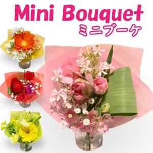 ミニブーケ 生花 送料無料 卒園 卒業 切り花 卒業式｜flower-aalsmeer