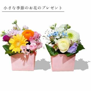 1000円 ギフト 花 プチアレンジメント プチギフト｜flower-aalsmeer