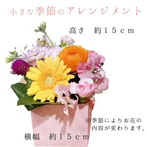 1000円 ギフト 花 プチアレンジメント プ...の詳細画像2