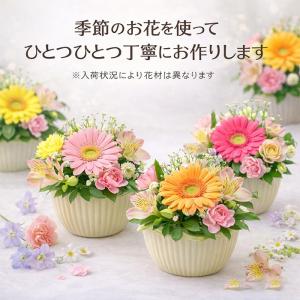1000円 ギフト 花 プチアレンジメント プ...の詳細画像2