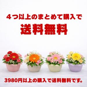 1000円 ギフト 花 プチアレンジメント プ...の詳細画像3
