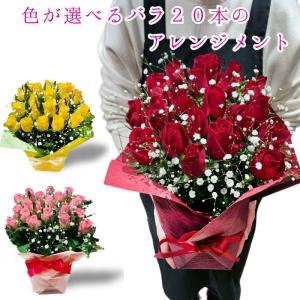 バラ20本 アレンジメント カスミソウ バラ アレンジメン｜flower-aalsmeer