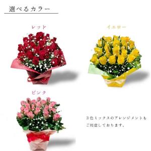 赤バラ20本 バラとかすみ草 アレンジメントの詳細画像1