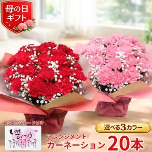 母の日 プレゼント カーネーション 20本 アレンジメント 生花