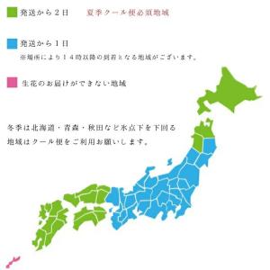 クール便利用料金の詳細画像2