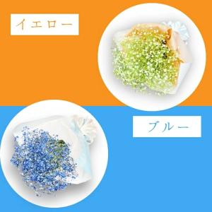 かすみ草 花束 ブーケ レインボーピンク パー...の詳細画像4