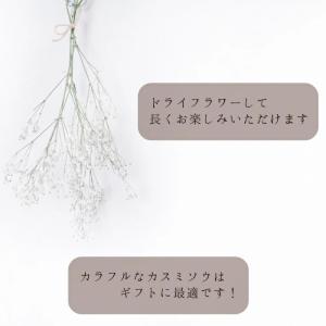 かすみ草 花束 ブーケ レインボーピンク パー...の詳細画像5