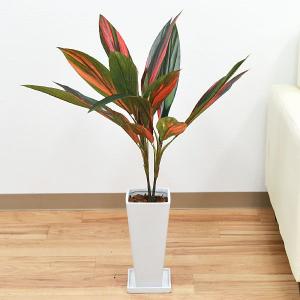 人工観葉植物 赤ドラセナ スクエア陶器鉢 フェイ...の商品画像