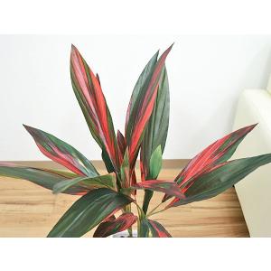 人工観葉植物 赤ドラセナ スクエア陶器鉢 フェ...の詳細画像1