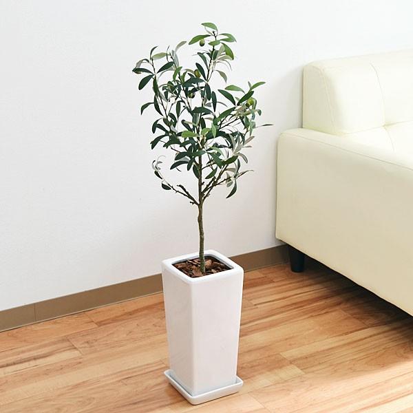 人工観葉植物 オリーブ実付き スクエア陶器鉢 フェイクグリーン 造花 光触媒加工/S