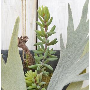 人工観葉植物 ビカクシダ コウモリラン フェイ...の詳細画像2