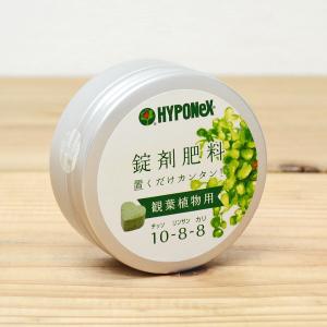 錠剤肥料(置き肥) ハイポネックス HYPONeX 観葉植物用 ハート 正味重量70g｜flower-c