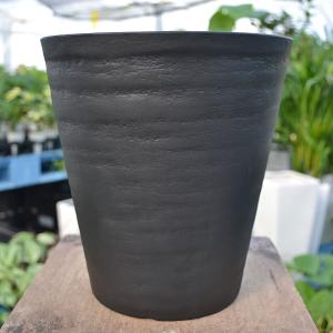 観葉植物 サンスベリア サンセベリア ローレン...の詳細画像3