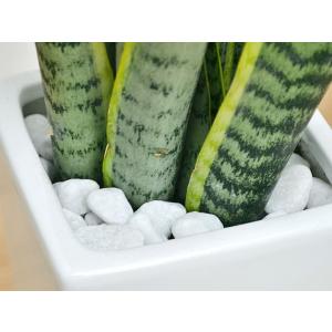 観葉植物 サンスベリア 陶器鉢植え おしゃれ ...の詳細画像2