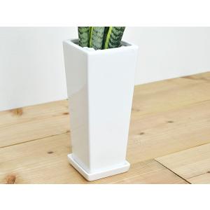 観葉植物 サンスベリア 陶器鉢植え おしゃれ ...の詳細画像3