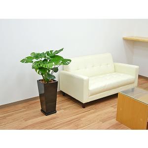 観葉植物 モンステラ 8号 おしゃれ お祝い ...の詳細画像5