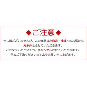 観葉植物 3号スクエア陶器鉢植え 3鉢セット ...の詳細画像2