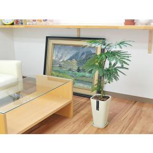 観葉植物 エバーフレッシュ 本物 おしゃれ お...の詳細画像5